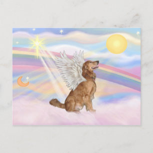 Postal Retriever Dorado