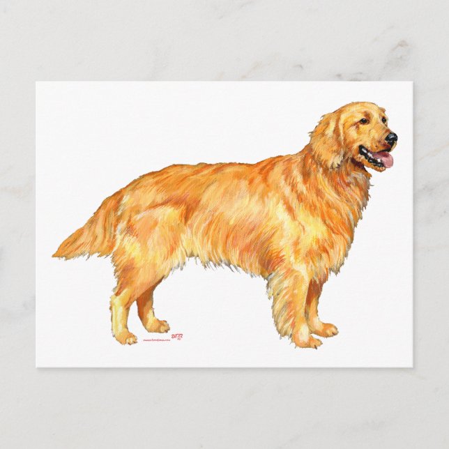 Postal Retriever Dorado (Anverso)