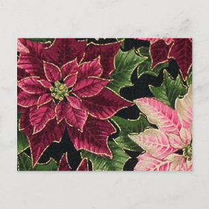 Postal Retro 50s Flor de Nochebuena Burgundy Rosa
