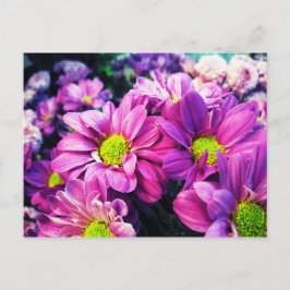 Postal Retro Daisies I