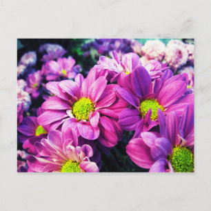 Postal Retro Daisies I