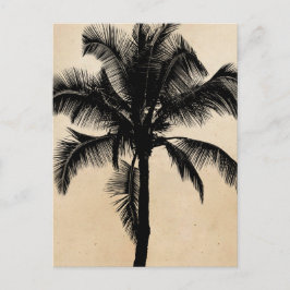 Postal Retro Hawaiano Tropical Palm Tree Silhouette Black