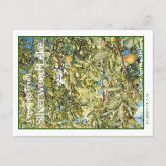 Postal Retro “Saludos desde Silverwood Lake”