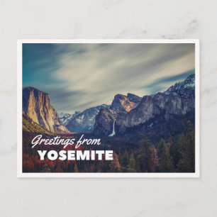 Postal Retro Yellowstone Saludos Bisonte Pastando Manta