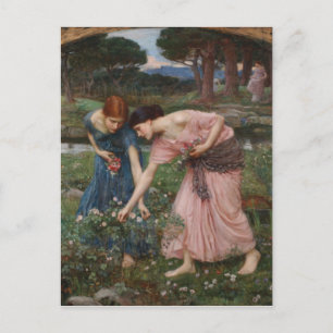Postal Reúna Ye Rosebuds mientras tú puedes