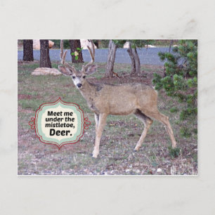 Postal Reúnete conmigo bajo el Mistletoe
