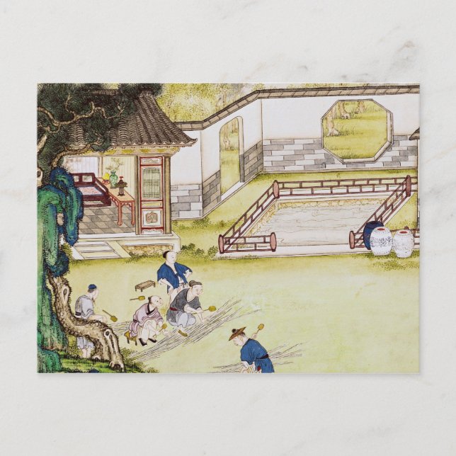 Postal Reuniendo bambú para hacer papel (Anverso)