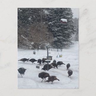 Postal Reunión de fiestas de invierno de PC reunión diver