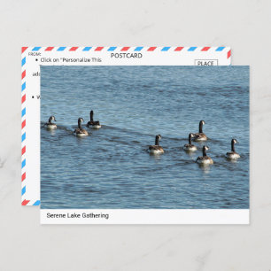 Postal Reunión de Serene Lake - Postcard canadiense