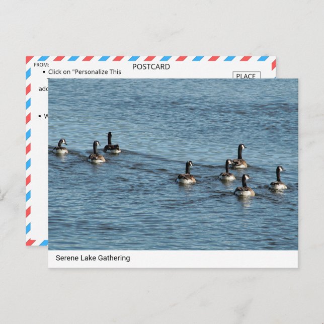 Postal Reunión de Serene Lake - Postcard canadiense (Anverso / Reverso)