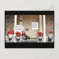 REUNIÓN DE TOWNHALL