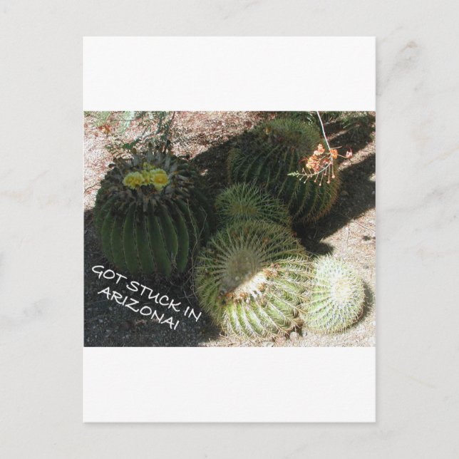 POSTAL REUNIONES DE ARIZONA (SELECCIÓN) (Anverso)