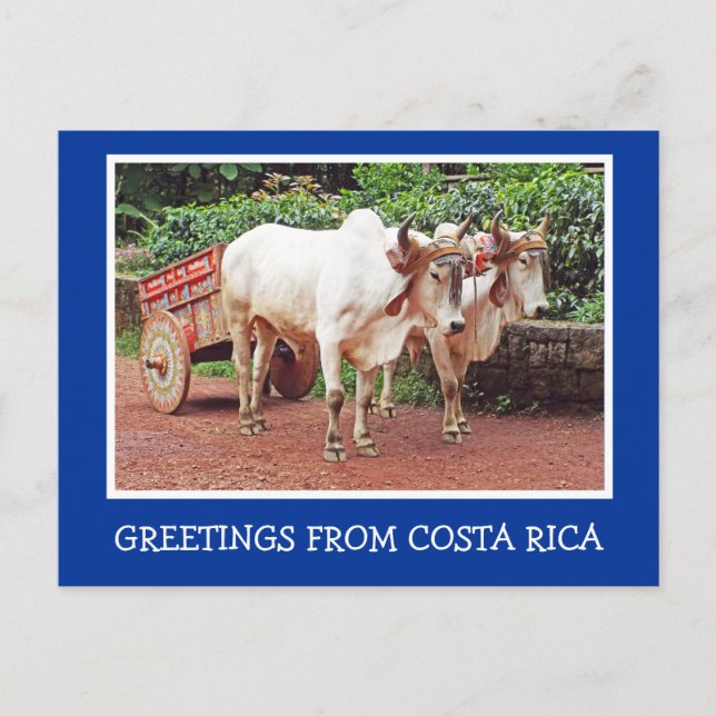 POSTAL REUNIONES DE COSTA RICA/OXCART Y OXEN (Anverso)