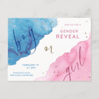 revelación de género, azul o rosa, él o ella,