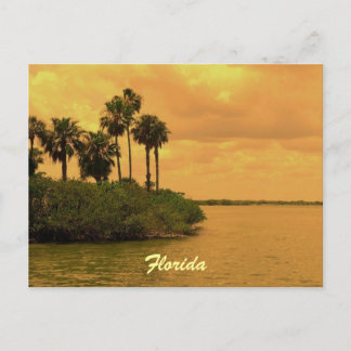 Postal Reveridad de la palmera de Florida