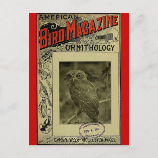 Postal Revista Bird jun. 8 1903