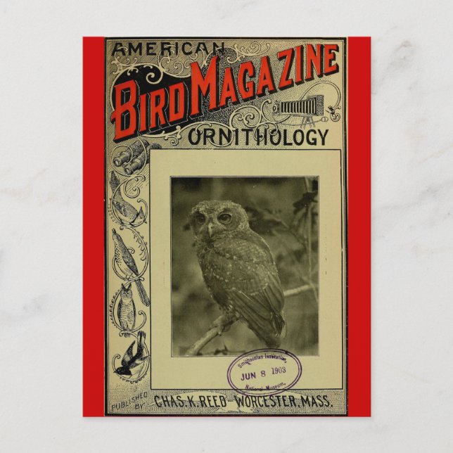 Postal Revista Bird jun. 8 1903 (Anverso)