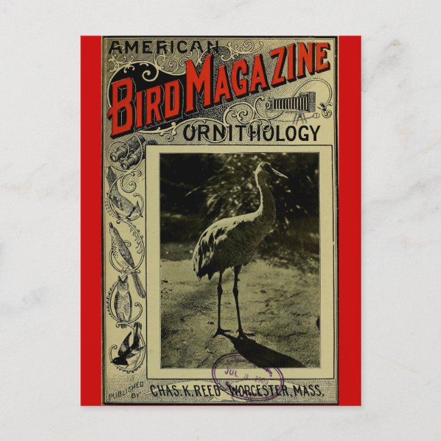 Postal Revista de aves jul. 3 1903 (Anverso)