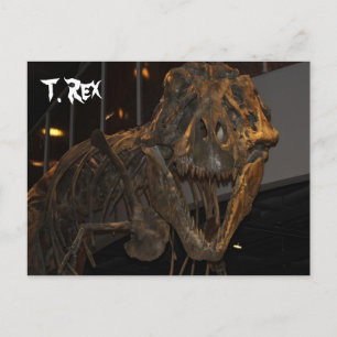 Postal Rex tirannosauro # 5