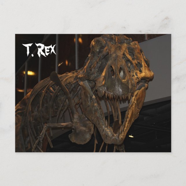 Postal Rex tirannosauro # 5 (Anverso)
