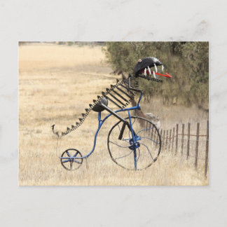 Postal RexRider