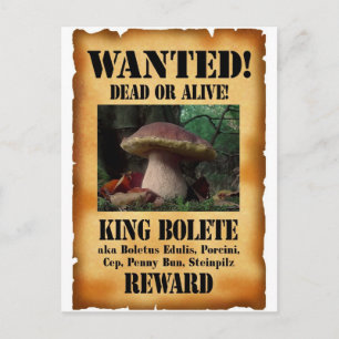 Postal Rey Bolete - Se busca muerto o vivo