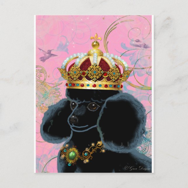 Postal Rey de caniche negro con corona (Anverso)