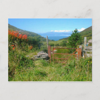 Postal Rey De Kerry Con Vistas Al Día Del Canto