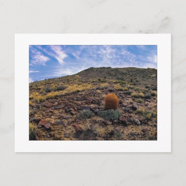 Postal "Rey De La Colina" (Anverso)