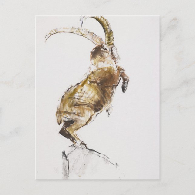 Postal Rey de la Montaña 2005 (Anverso)