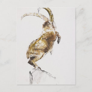 Postal Rey de la Montaña 2005