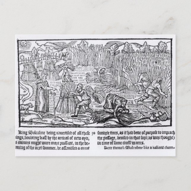 Postal Rey Malcolm de Escocia (Anverso)