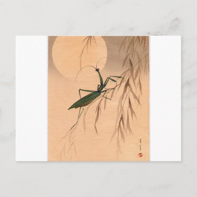 Postal Rezando a Mantis y el arte japonés de la luna c. A (Anverso)