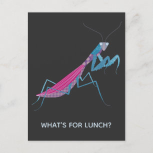 Postal Rezando el texto Personalizado de Mantis