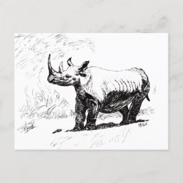 POSTAL RHINO