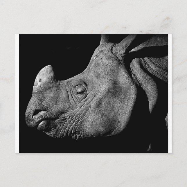 Postal Rhino (Anverso)