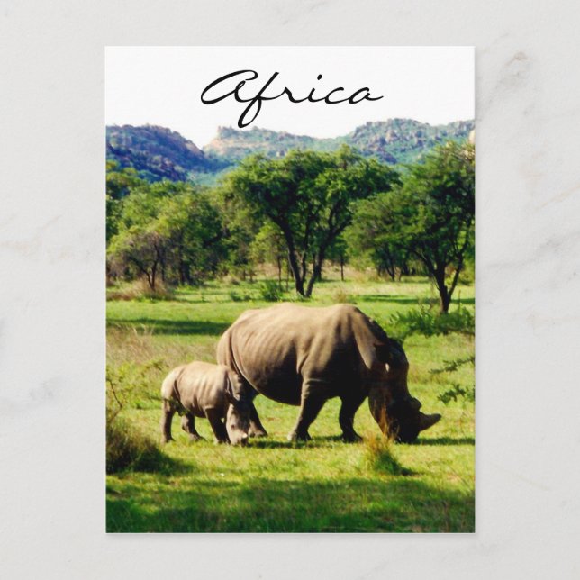 Postal rhino africa (Anverso)
