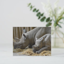 Postal Rhinoceros  