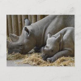 Postal Rhinoceros