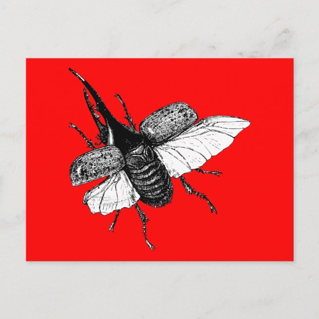 Postal Rhinoceros Beetle Vintage Wood Engrage (Anverso)