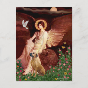 Postal Rhodeisn Ridgebak 2 - Ángel Sentado