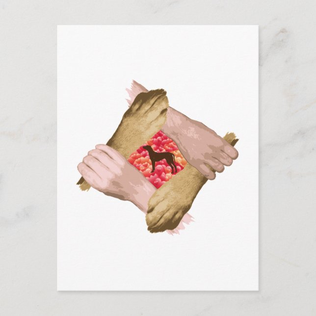 Postal Rhodesian Ridgeback (Anverso)