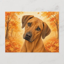 Postal Rhodesian Ridgeback Otoño Perro