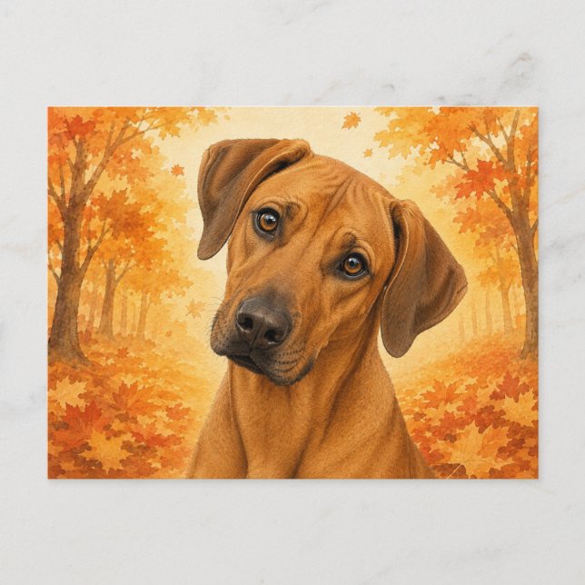 Postal Rhodesian Ridgeback Otoño Perro (Anverso)