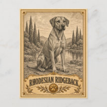 Rhodesian Ridgeback, Perro de Patrimonio Antiguo