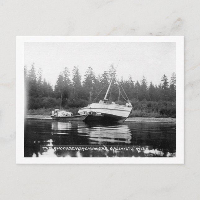 Postal Rhododendron en el río Quillayute (Anverso)