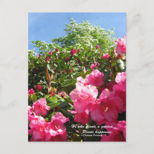 Postal Rhododendron y Dogwood con el proverbio chino