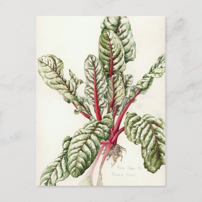 Postal Rhubarb Chard 1992 (Anverso)
