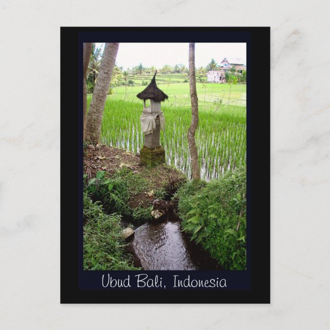 Postal Rice Paddy, Templo Ubud Bali, Indonesia (Anverso)