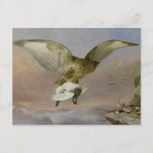 Postal Richard Ansdell Buzzard con Ptarmigan